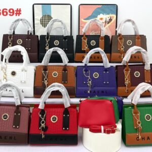 Luxury Women’s Handbag